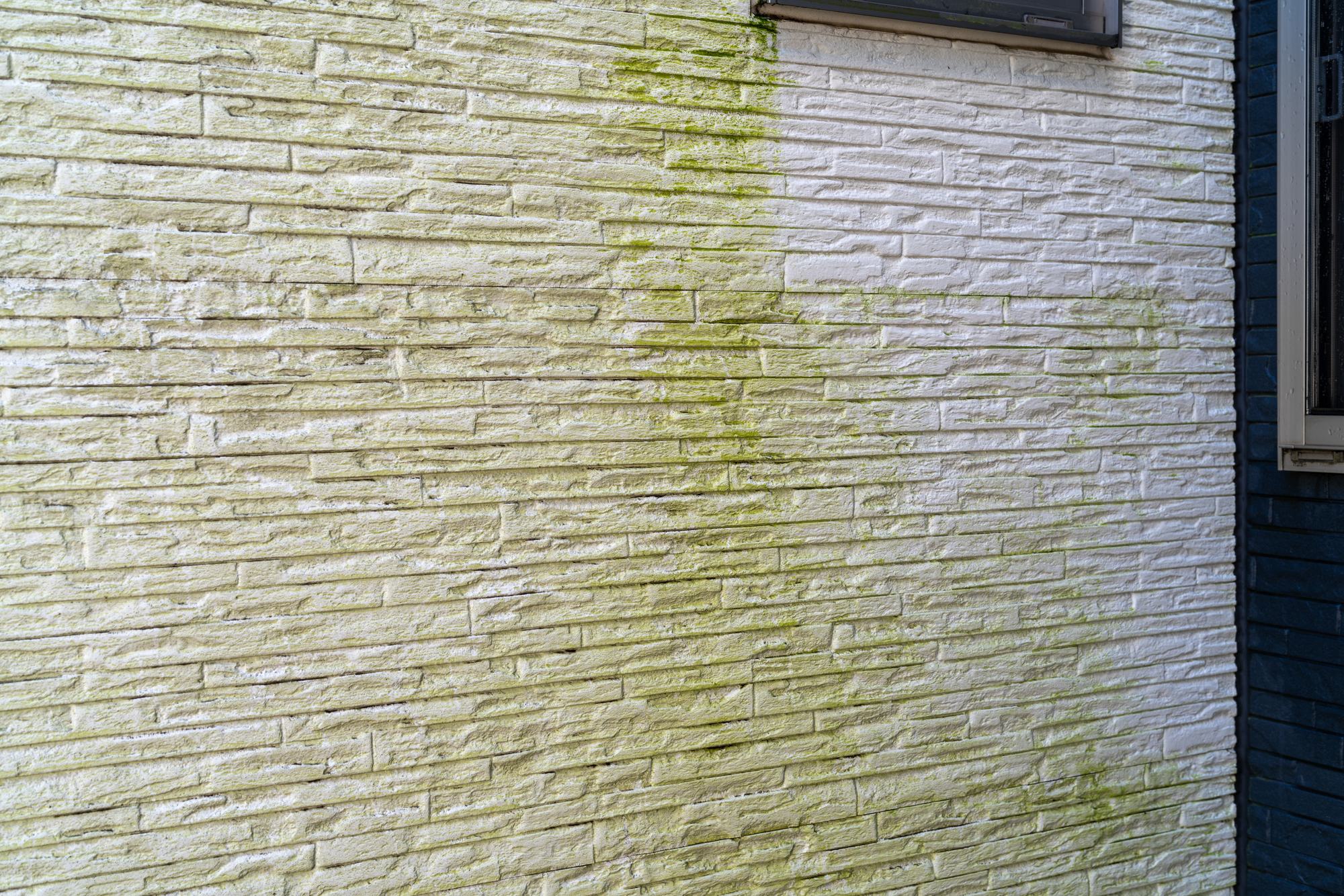 厚木市の住宅街で多い「湿気・カビ」問題と外壁塗装でできる対策